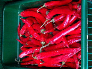 Картинка еда перец острый чили