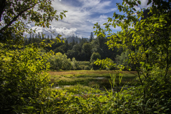 Картинка природа пейзажи простор