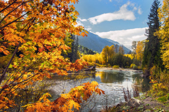 Картинка природа реки озера простор