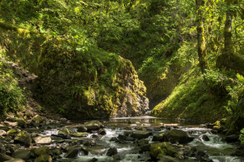 Картинка природа реки озера простор