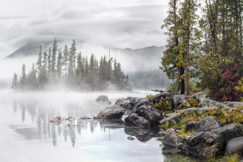 Картинка природа реки озера простор