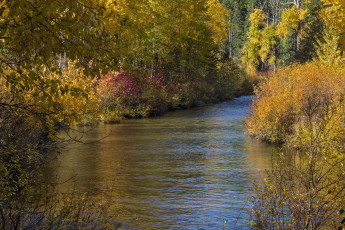 Картинка природа реки озера простор