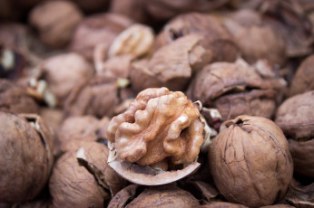 Картинка еда орехи +каштаны +какао-бобы грецкие