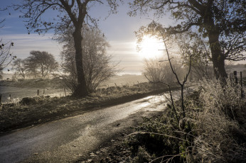 Картинка природа дороги простор