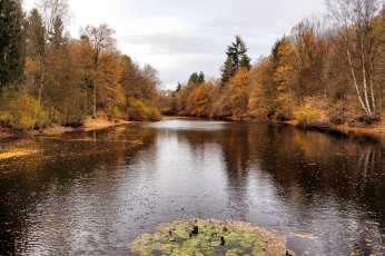 Картинка природа реки озера простор