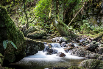 Картинка природа реки озера простор