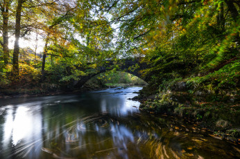 Картинка природа реки озера простор