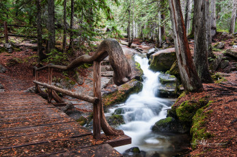 Картинка природа реки озера простор