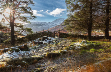 Картинка природа пейзажи простор