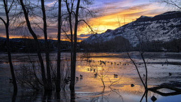 Картинка природа реки озера простор