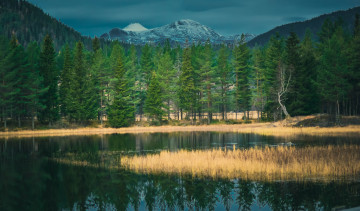 Картинка природа реки озера простор