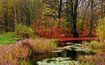 Картинка природа реки озера простор