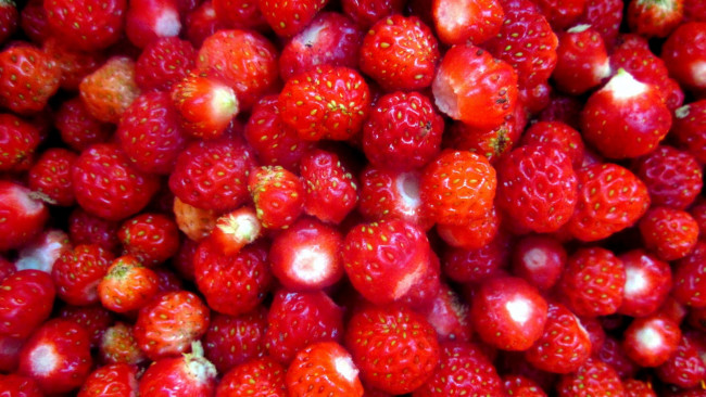 Обои картинки фото еда, клубника,  земляника, земляника