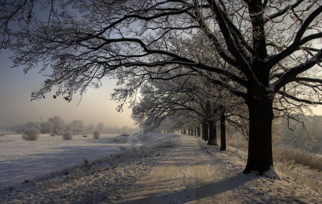 Обои картинки фото природа, зима, простор