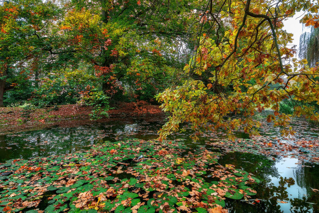 Обои картинки фото природа, реки, озера, простор