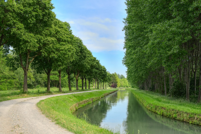 Обои картинки фото природа, парк, простор