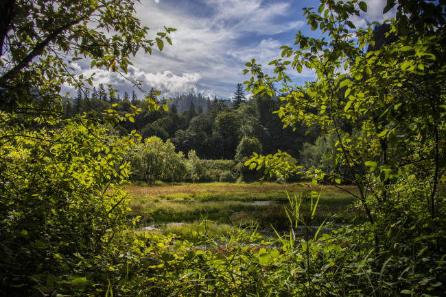 Обои картинки фото природа, пейзажи, простор