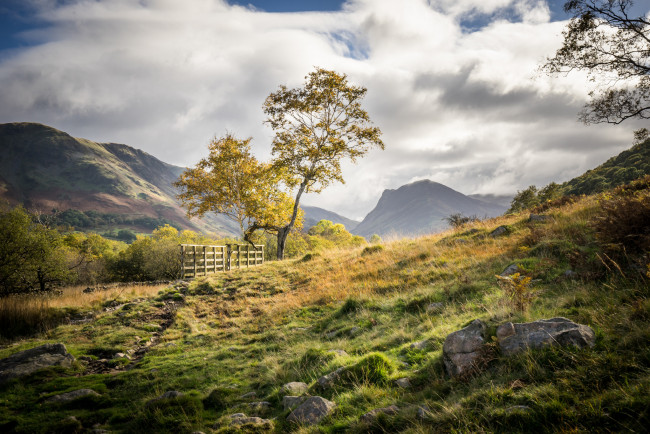 Обои картинки фото природа, пейзажи, простор