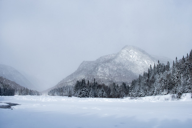 Обои картинки фото природа, зима, простор