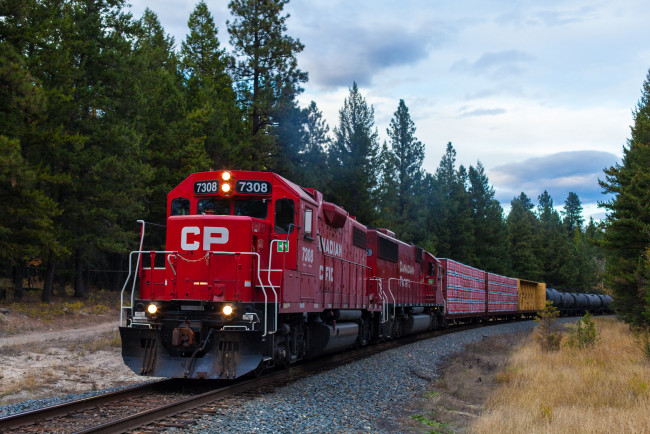 Обои картинки фото техника, поезда, состав, локомотив