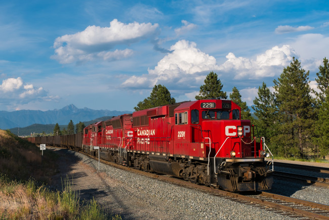 Обои картинки фото техника, поезда, состав, локомотив