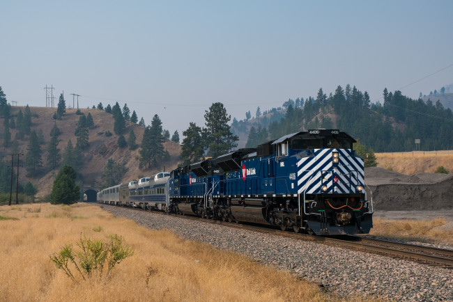 Обои картинки фото техника, поезда, состав, локомотив