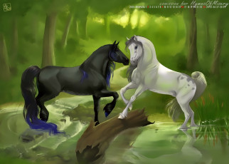 обоя календари, фэнтези, 2020, calendar, растение, природа, вода, водоем, лошадь, конь