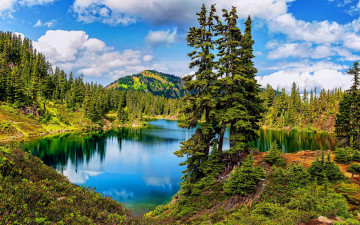 Картинка природа реки озера река деревья