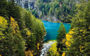 Картинка природа реки озера река деревья осень