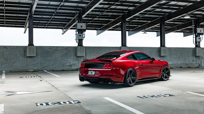 Обои картинки фото автомобили, mustang, ford, gt