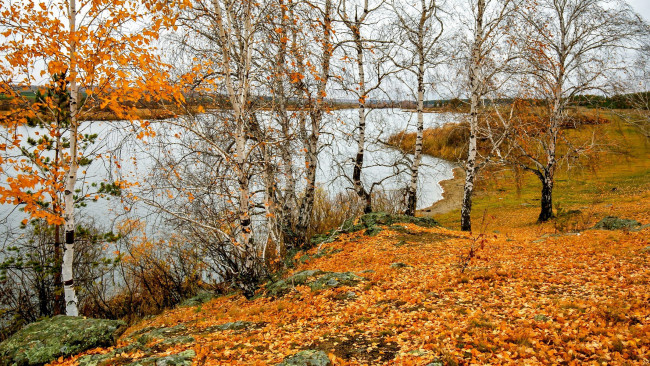 Обои картинки фото природа, реки, озера, река, деревья, осень