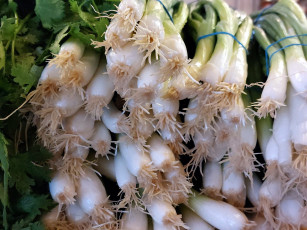 обоя еда, лук, зеленый