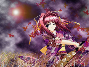 Картинка divers07 аниме *unknown другое