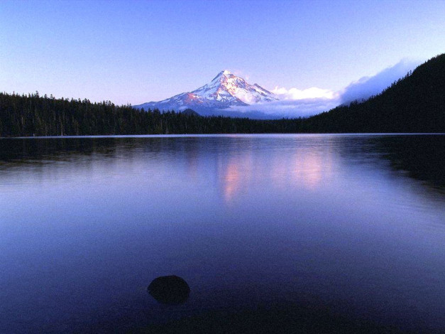 Обои картинки фото 