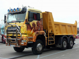 Картинка автомобили man