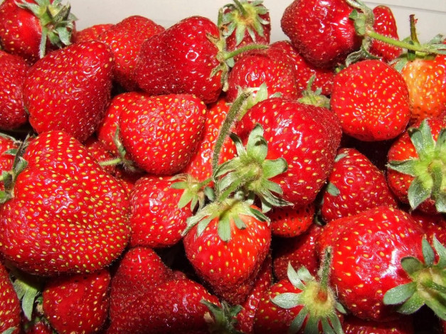 Обои картинки фото еда, клубника, земляника