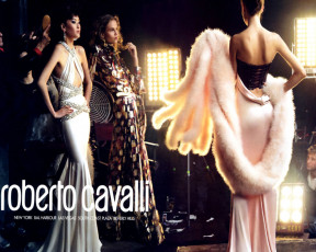 Картинка roberto cavalli бренды
