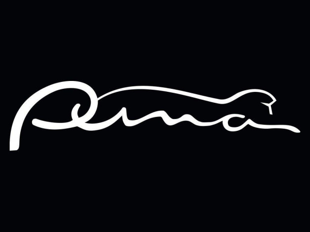 Обои картинки фото бренды, puma