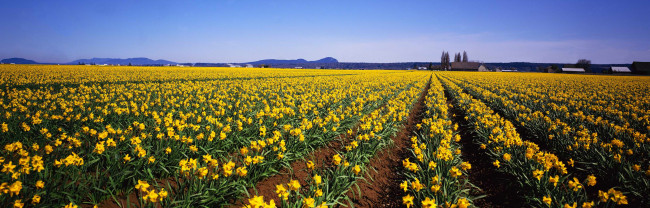 Обои картинки фото природа