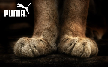 обоя бренды, puma