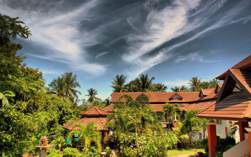 Картинка природа тропики