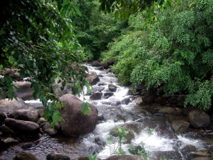 Картинка природа реки озера вода камни