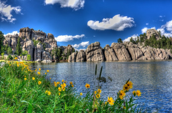 Картинка природа реки озера вода горы цветы