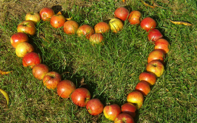 Обои картинки фото еда, Яблоки, сердечко, трава, лето