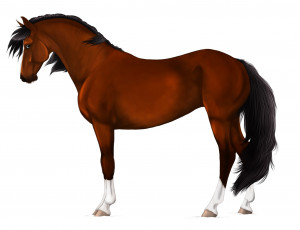 Картинка рисованные животные +лошади лошадь