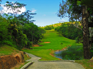 Картинка праслин+сейшелы природа парк праслин сейшелы пейзаж трава