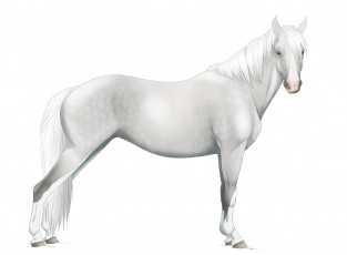 Картинка рисованные животные +лошади лошадь