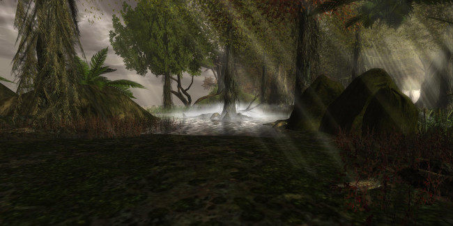 Обои картинки фото 3д графика, nature, landscape , природа, лес, деревья