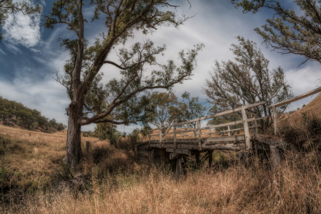 Обои картинки фото природа, пейзажи, поле, овраг, мостик, трава, деревья