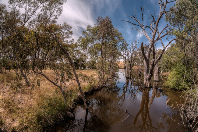 Обои картинки фото природа, реки, озера, река, деревья, трава